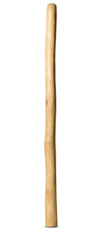 Medium Size Natural Finish Didgeridoo (TW791)